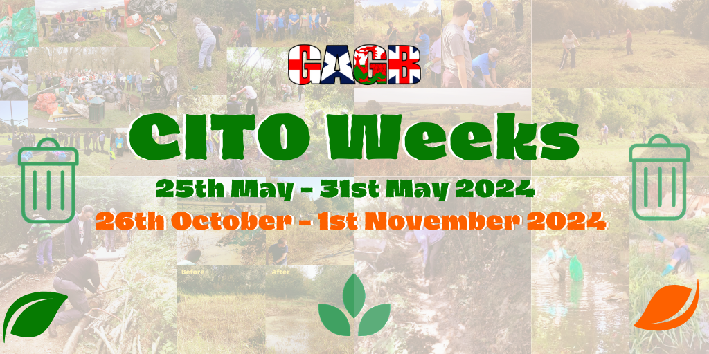CITO Weeks