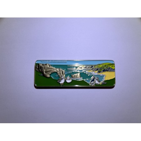 Pembrokeshire Geocoin (Standard Edition)