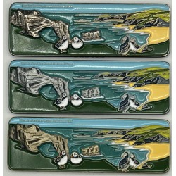Pembrokeshire Geocoin Set