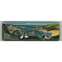 Pembrokeshire Geocoin...